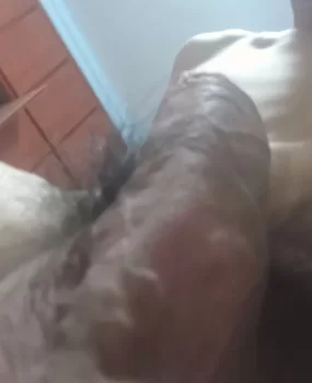 湖北十堰17cm小男生,价格便宜,服务好